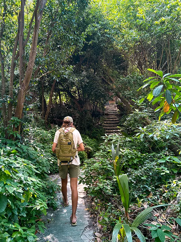 Man walking in a narrow path surrounded by jungle