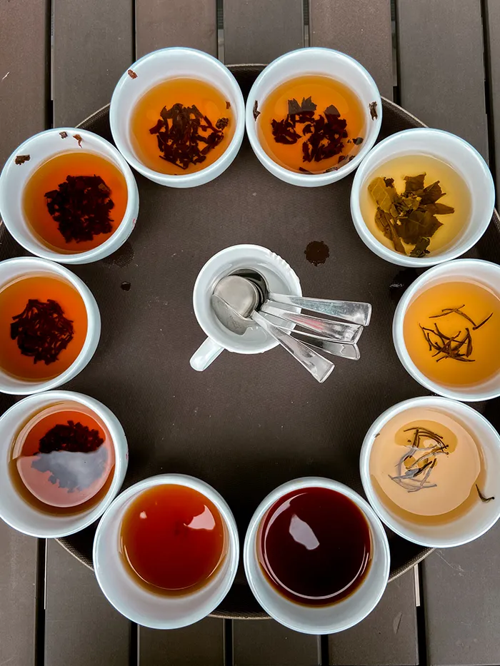 Tea Plantation & Factory Tour in Sri Lanka