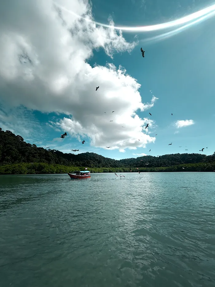 Eagle Watching in Langkawi