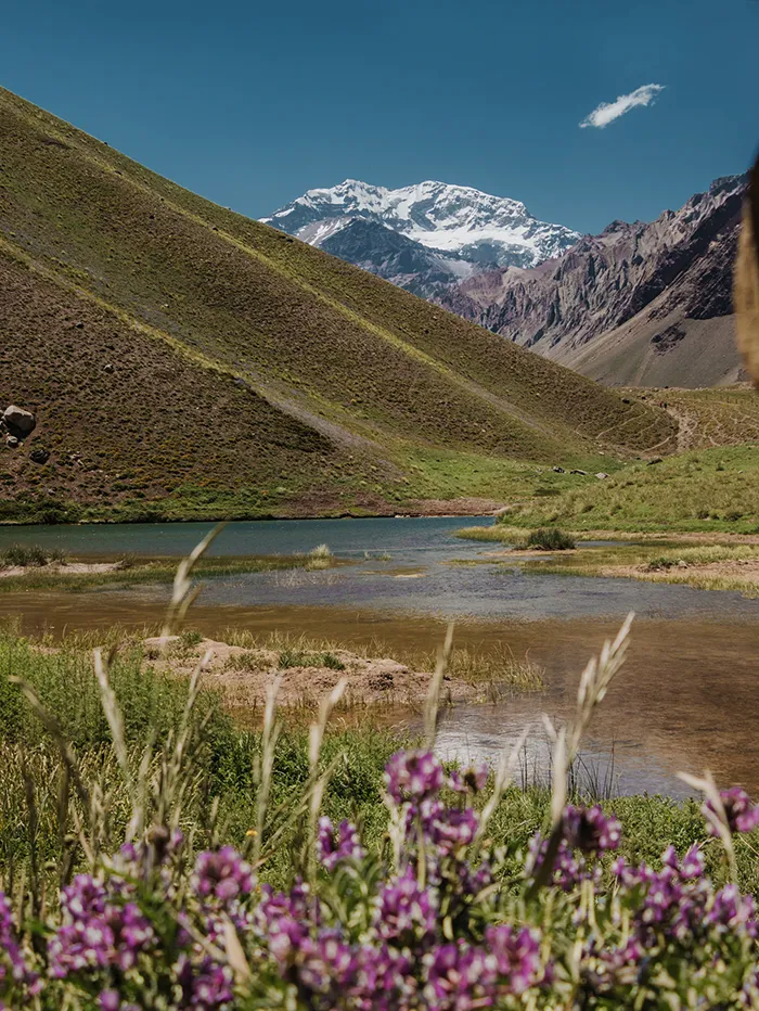 Horcones Lagoon in Aconcagua