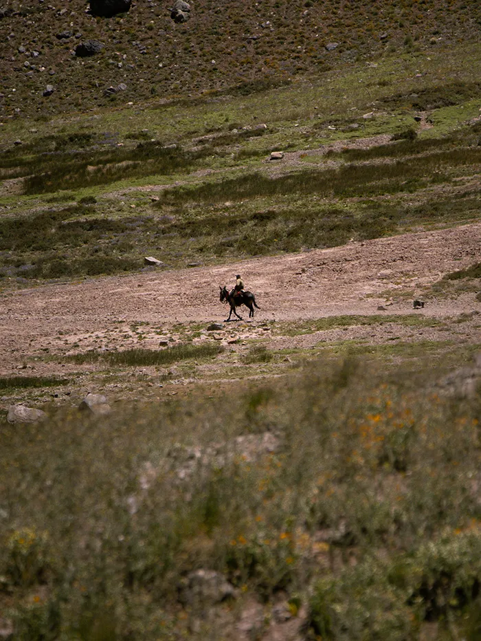 Horseriding in Aconcagua