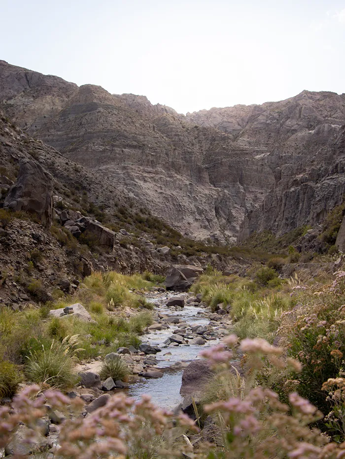 Banks of the Atuel River