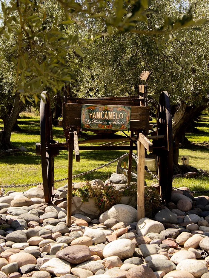 Yancanelo Olive Oil Factory