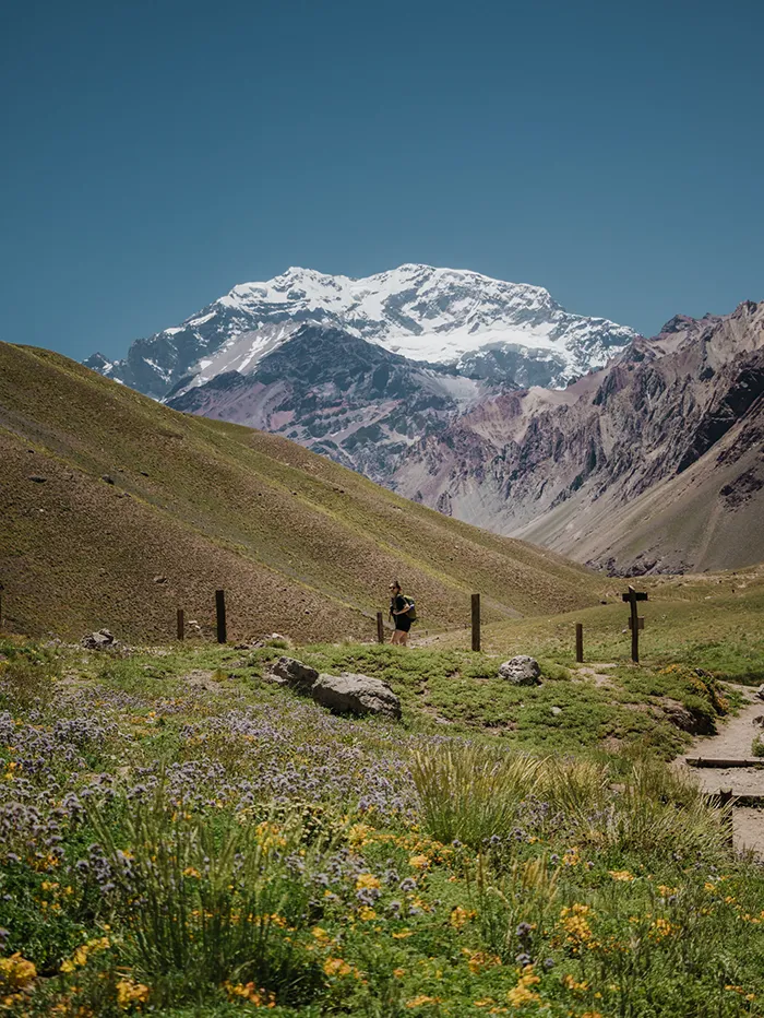 Aconcagua, Mendoza during spring