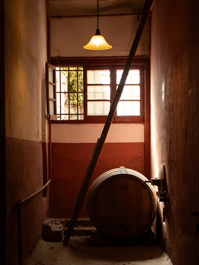 La Abeja Winery in San Rafael