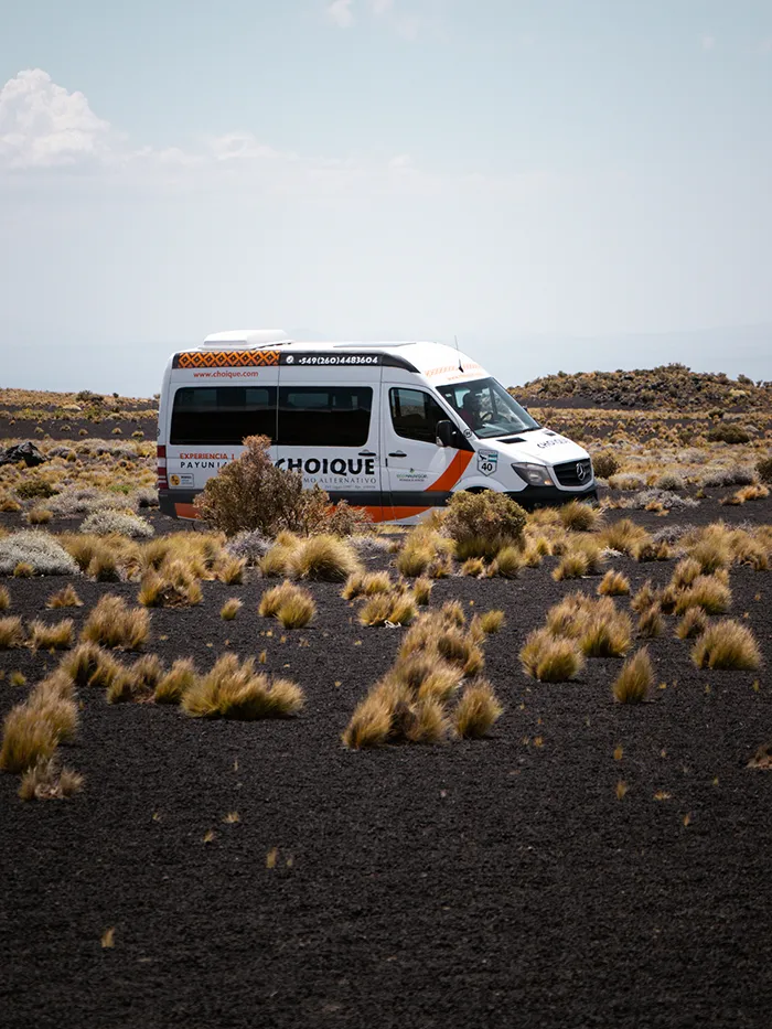 La Payunia Reserve