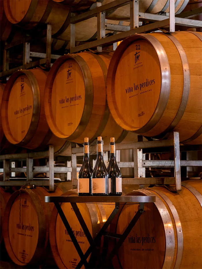 Wine tour in Vina Las perdices winery, Mendoza