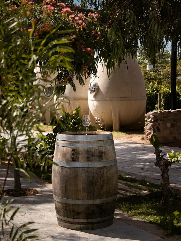 Casa Vigil (El Enemigo) Winery in Mendoza