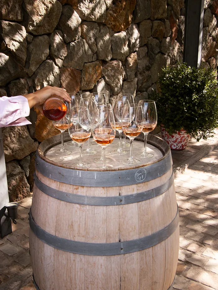 Wine tour at Pulenta Estate Winery