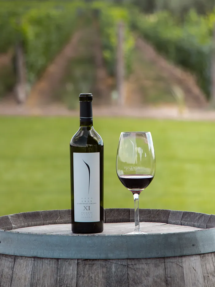 Wine tour at Pulenta Estate Winery