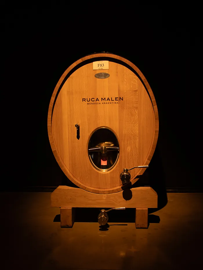 Bodega Ruca Malen in Mendoza