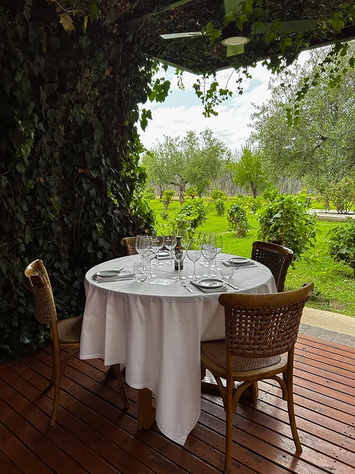 Casa Vigil (El Enemigo) Winery in Mendoza