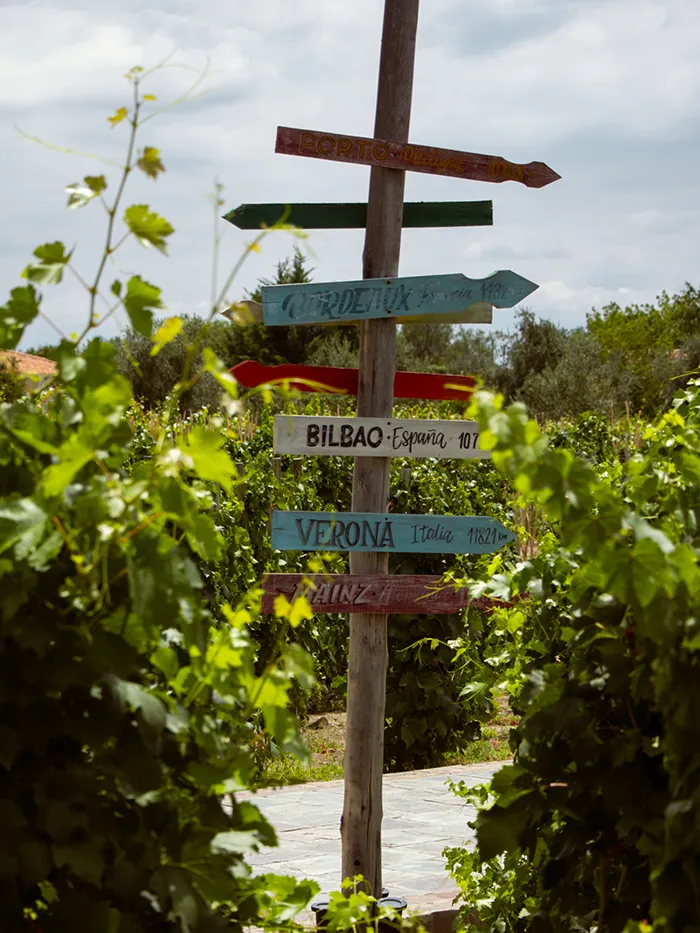 Mendoza Wine Tour Guide
