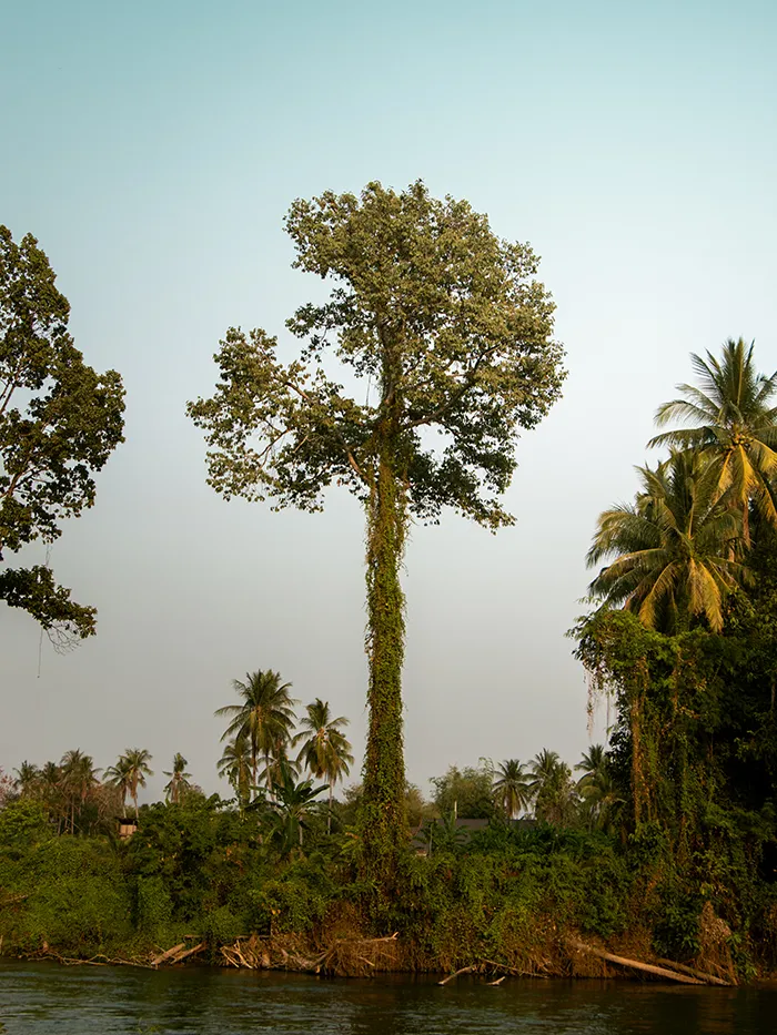 4000 islands laos