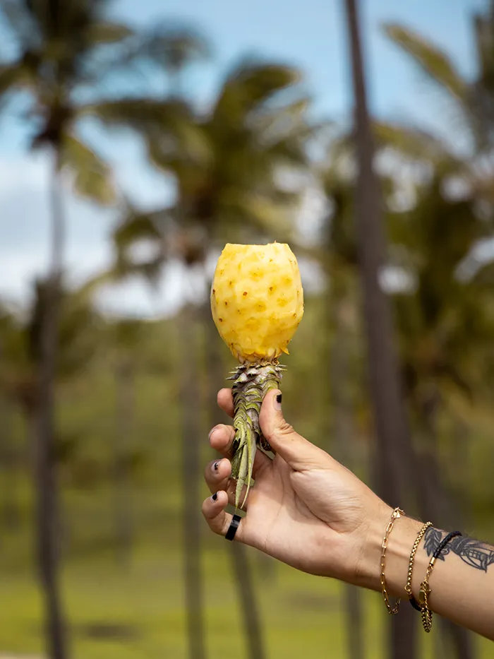 Pineapple on Anakena Beach