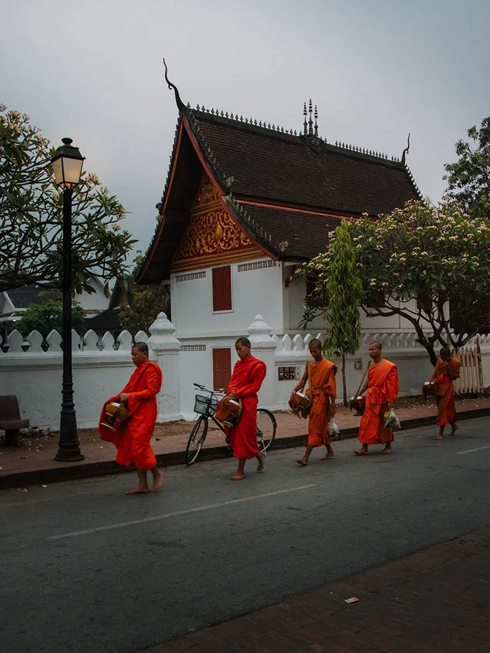 Alms Giving Ceremony in Luang Prabang