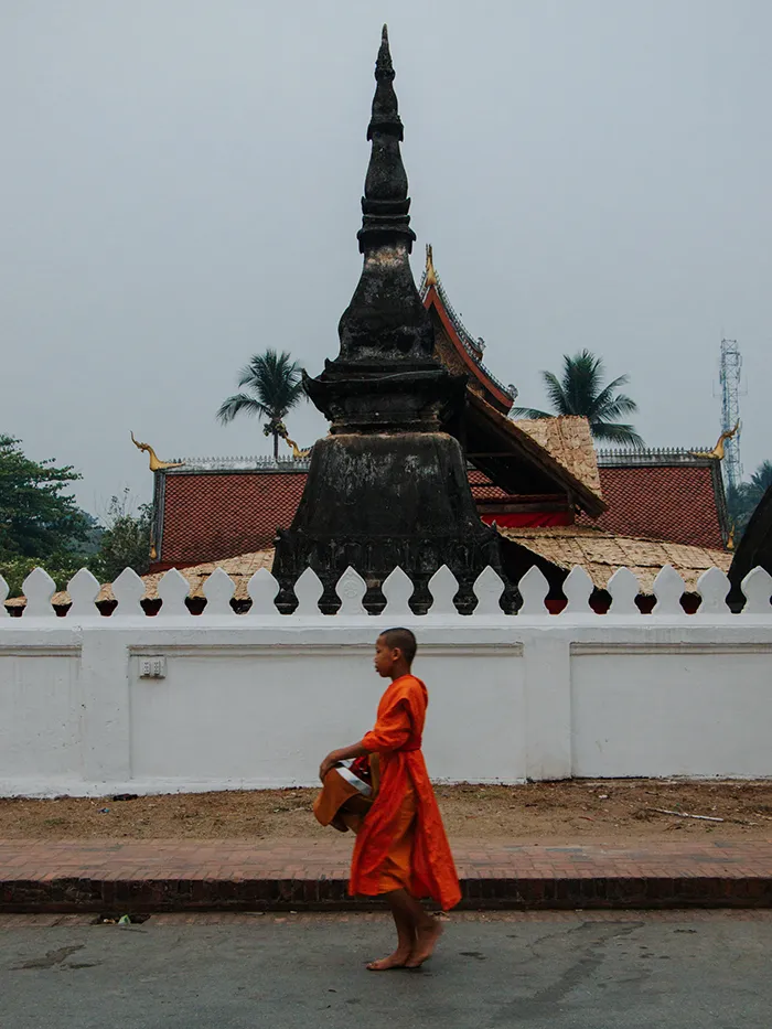 Alms Giving Ceremony in Luang Prabang